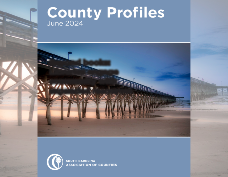 Publication: County Profiles, 2024 Edition