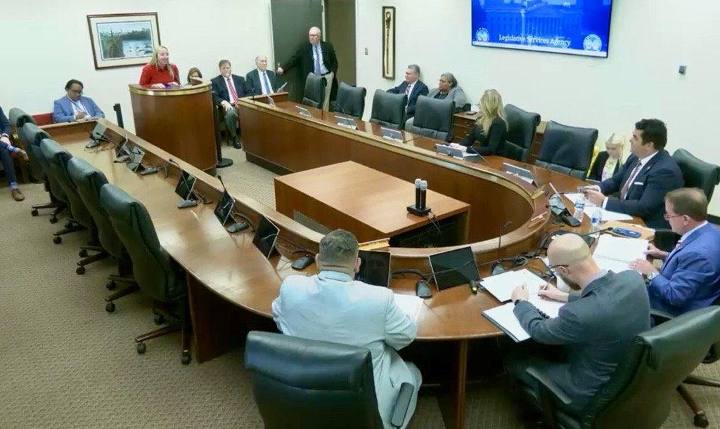 Avery Upchurch speaks at a podium during a subcommittee meeting.